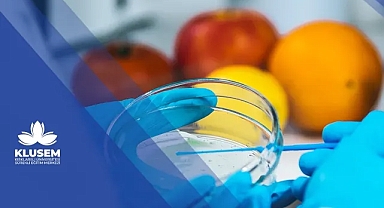 KLUSEM'den ISO 22000 Sertifikalı Eğitim Fırsatı
