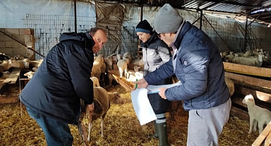 Lüleburgaz'da Hayvan Sağlığı İçin Türkvet Sistemi Güncelleniyor!