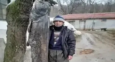 Meriç Nehri'nde 2.5 metre boyunda 'yayın balığı' yakaladı