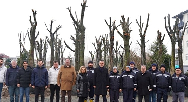 Sökülen Ağaçlarımıza Seramızda Özenle Bakıyoruz