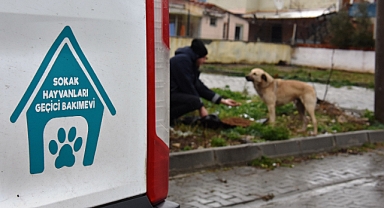 Süleymanpaşa Belediyesi Olumsuz Hava Koşullarında da Can Dostlarının Yanında