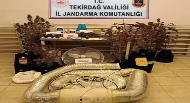 Tekirdağ'da evlerinde uyuşturucu yetiştiren şüpheliler yakalandı
