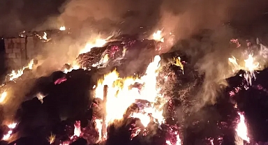 Büyükmandıra'da Hayvan Ağılında Korkutan Yangın