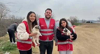 Edirne’de Sokak Hayvanları Soğuk Kış Günlerinde Yalnız Değil!