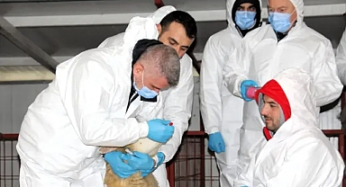 Kırklareli İl Tarım ve Orman Müdürlüğü, Şap ve Koyun Keçi Vebası Tatbikatında