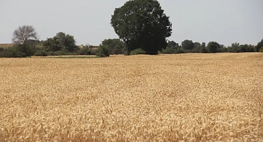 Kırklareli'nde ÇKS'ye Kayıtlı Tarım Alanı Yüzde 86'ya Ulaştı