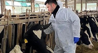 Kırklareli'nde Şap Hastalığına Karşı Etkin Mücadele Devam Ediyor