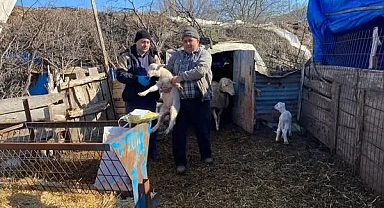Kırklareli'nde Tarımsal ve Hayvansal Denetimler Hız Kesmeden Devam Ediyor