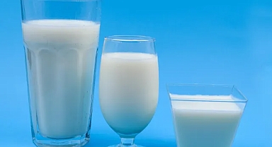 Türkiye'de Süt Üretimi Arttı: Aralık 2024 Verileri Açıklandı