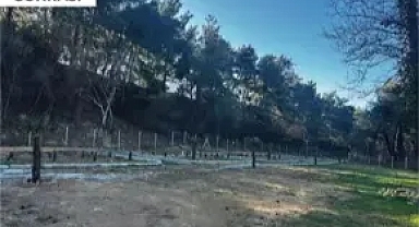 Edirne'de 68 kaçak yapı kaldırıldı