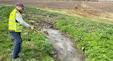 Evrensekiz Belediyesi'nden Sivrisinek ve Karasineklerle Etkin Mücadele