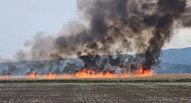 Gala Gölü Milli Parkı’nda sazlık yangını