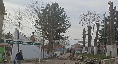 Kaynarca Belediyesi'nden Cami Bahçesinde Bakım Çalışması