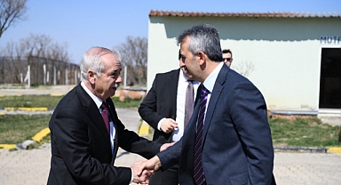 Keşan'da Sokak Hayvanları İçin Büyük Adım: 50 Bin Metrekarelik Doğal Yaşam Alanı Kuruluyor