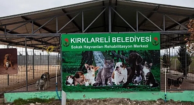 Kırklareli Belediyesi Hayvan Bakımevi Tadilata Giriyor