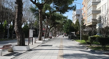 Kırklareli Belediyesi'nden Ağaç Bakımı ve Sürdürülebilir Peyzaj Hamlesi