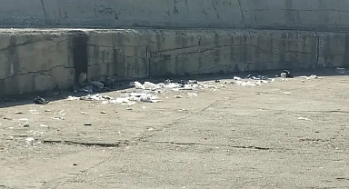 Kıyıköy Belediye Başkanı Özen’den Çevre Temizliği Mesajı: 