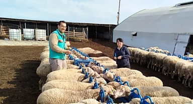 Pınarhisar İlçe Tarım ve Orman Müdürlüğü Çalışmalarına Hız Kesmeden Devam Ediyor