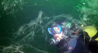 Prof. Dr. Tecer: Müsilaj Marmara Denizi'ni istila etmiş durumda