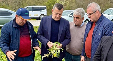 Gündoğdu: 