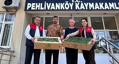 Kırklareli'nde Üreticiye Domates ve Hıyar Fidesi Desteği 
