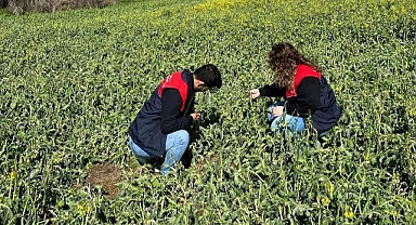 Kırklareli Tarım Müdürlüğü Don Felaketi Sonrası Sahada