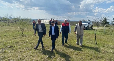Kofçaz'da Zirai Don Alarmı: Yetkililer Hasarı Yerinde İnceledi