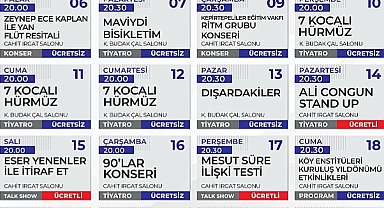 Lüleburgaz Belediyesi ve LYSA'dan Nisan 2025 Etkinlik Takvimi: Sanatla Dolu Bir Ay
