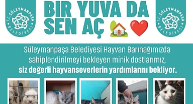 Süleymanpaşa Belediyesinden Anlamlı Çağrı