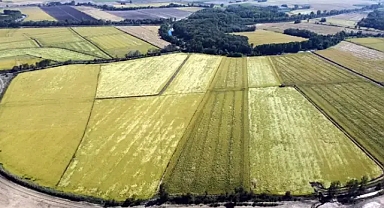 Tunca Nehri'nde yatak temizliği yapılıp, su biriktirme alanları oluşturuluyor