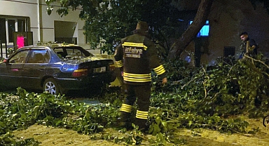 Çorlu'da ağaç park halindeki otomobilin üzerine devrildi