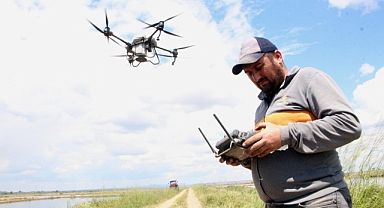 Dronla çeltik ekiyorlar