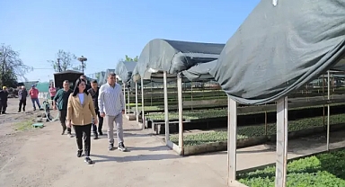 Edirne Sokakları 350 Bin Çiçekle Renkleniyor!