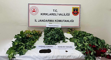Kırklareli’nde Jandarmadan Zehir Tacirlerine ve Kaçakçılara Darbe! 