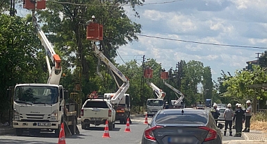 Kırklareli'nde TREDAŞ'tan Elektrik Hatlarına Güvenlik Hamlesi