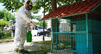 Lüleburgaz’da Keneye Geçit Yok! Belediyeden Noktasal İlaçlama Hamlesi