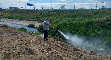 Süleymanpaşa Belediyesi’nden Sivrisineklere Karşı Vatandaşlara Çağrı 