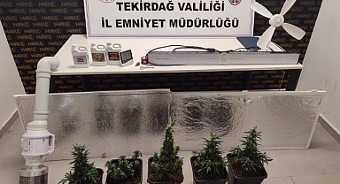 Tekirdağ'da evlerinde uyuşturucu yetiştiren 2 şüpheli yakalandı