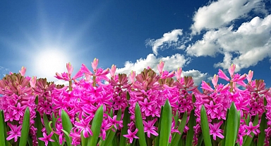 Trakya’da 27 Mayıs Hava Durumu: Bahar Tadında Bir Salı Günü!