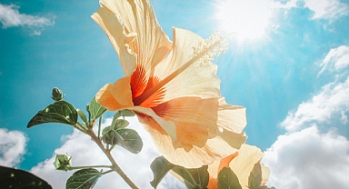 8 Haziran 2025 Trakya Hava Durumu: Güneşli ve Keyifli Bir Pazar Günü Bekleniyor!