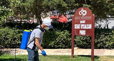 Çorlu Belediyesinden Keneyle Mücadele Çalışmaları