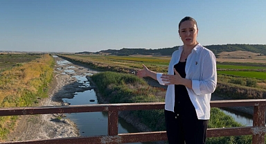 Edirne'de Çeltik Alarmı: Üretici Kirli Suyu Bile Arar Oldu