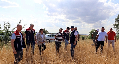 Edirne'de dolu 10 bin dekar buğday ve ayçiçeği tarlasına zarar verdi