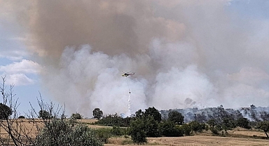 Edirne'de orman yangını