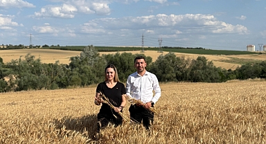 Edirne Mecidiye'de Korkutan Yangın: Tarım Arazileri ve Ormanlık Alanlar Zarar Gördü