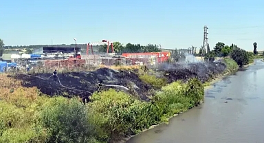 Elektrik telinden çıkan kıvılcımlar, otluk alanda yangına neden oldu