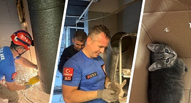 Havalandırma Boşluğuna Sıkışan Yavru Kediyi Çorlu AKE Kurtardı