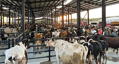 Havsa Canlı Hayvan Pazarı Yeni Yerinde Hizmete Açıldı