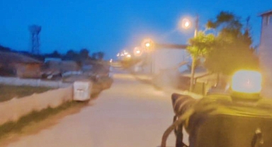 Kaynarca’da Halk Sağlığı İçin Etkin Mücadele Başladı