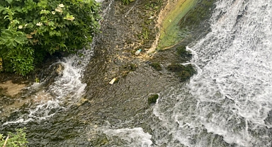 Kaynarcalı Vatandaşlardan Duyarlılık Çağrısı: 